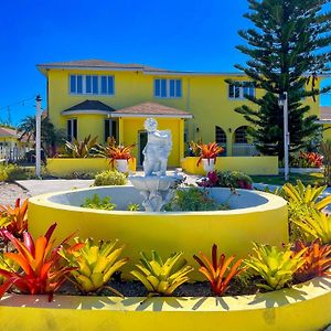 Golden Palms House